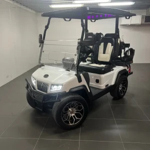 2024 Paladin Evolution D5 golf cart
