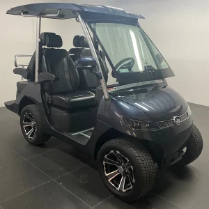 2024 Evolution D3 electric golf cart