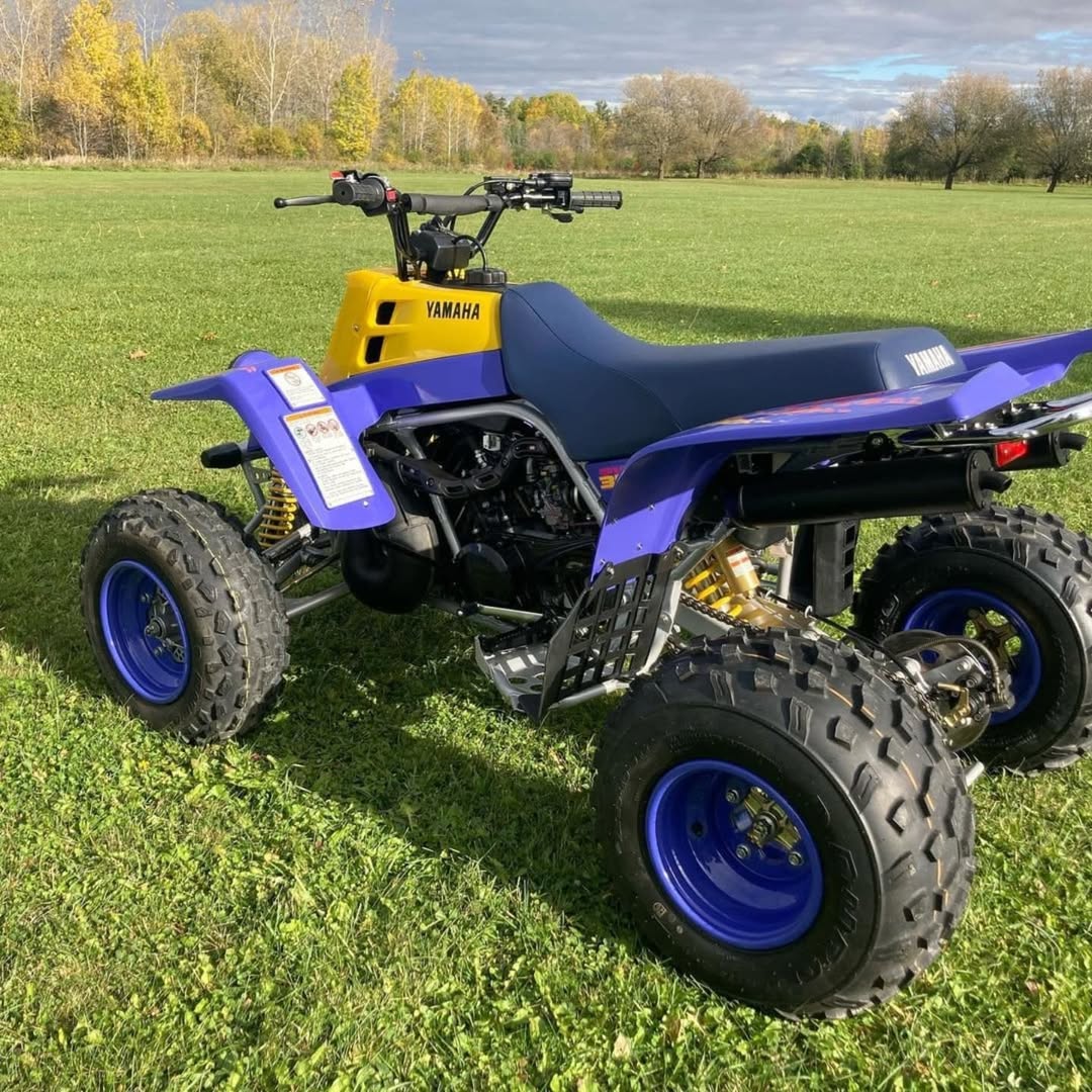 1994 Yamaha Banshee 350 - Image 5