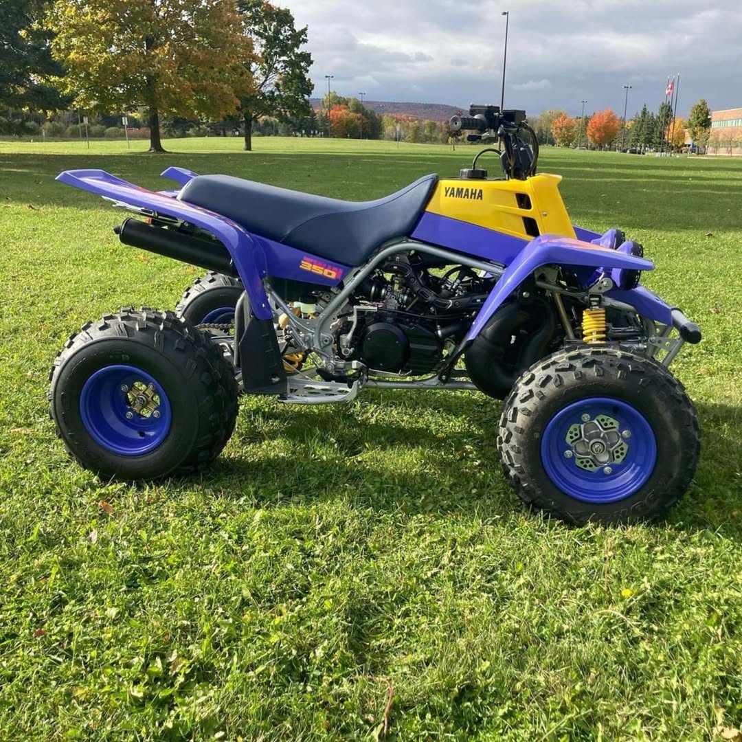 1994 Yamaha Banshee 350 - Image 9